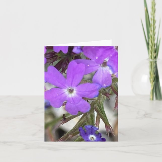 Mildred Ant 🐜 dyker upp Tack Kort (Framsida)