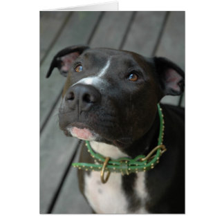 Mildred Hälsningskort