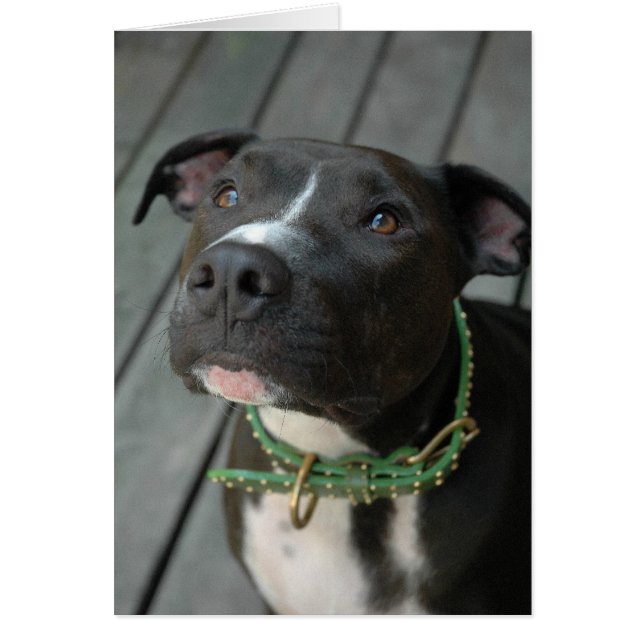 Mildred Hälsningskort (Framsidan)