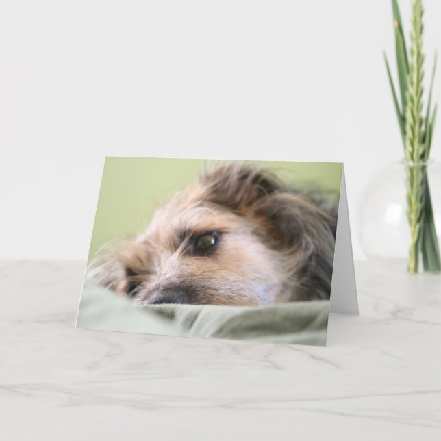 Miles grubbla kort (Framsida)