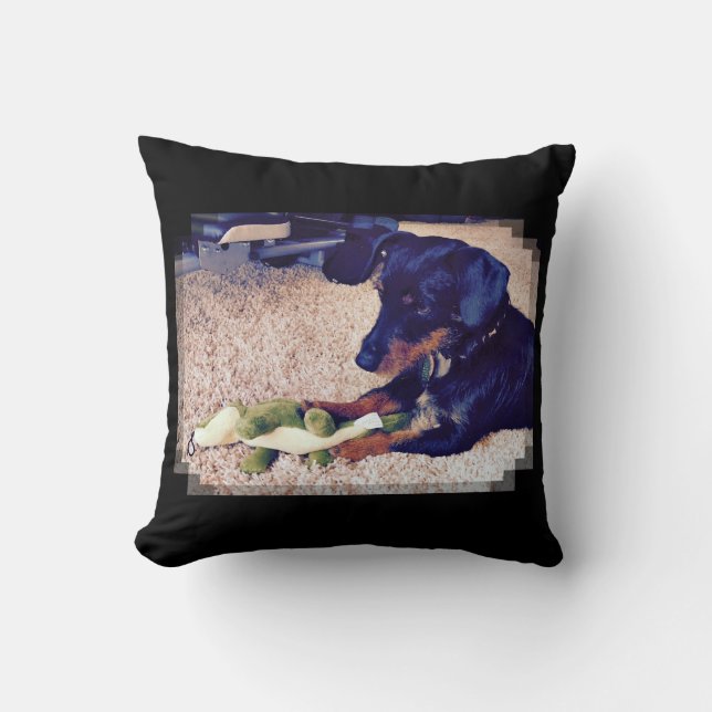 Miles - Hobie - tax X Kudde (Framsida)