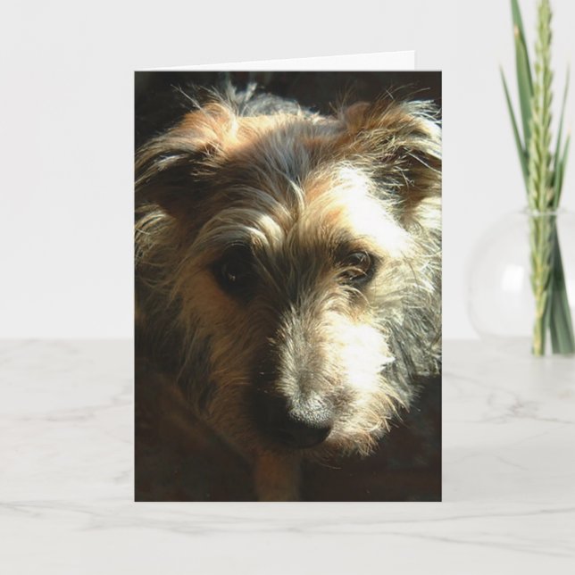 Miles Kort (Framsida)