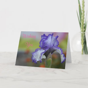 Miles of Smiles Birthday Card Kort