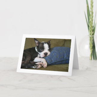 Miley förargas kort