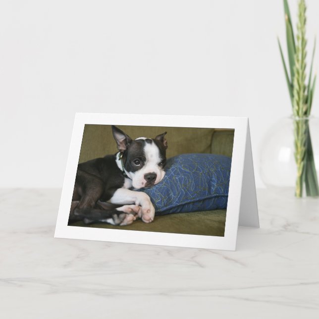 Miley förargas kort (Framsida)