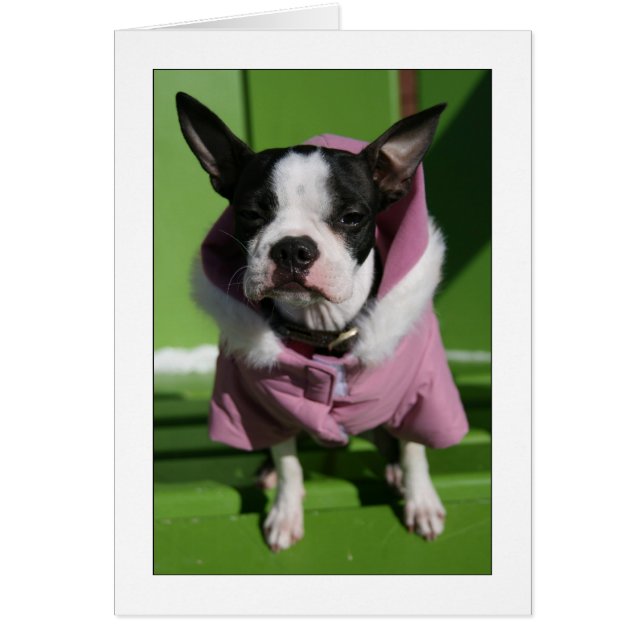 Miley i kallet hälsningskort (Framsidan)