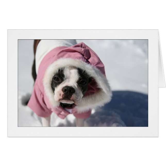 Miley i snö hälsningskort (Framsidan Horizontal)