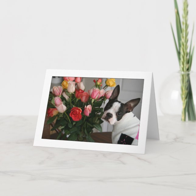 Miley med ro kort (Framsida)