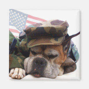 Militär boxarehundmagnet magnet