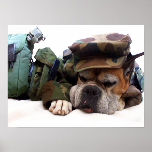 Militär boxerhund poster (Framsidan)