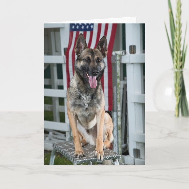militär hund kort (Framsida)