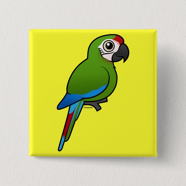 Militär Macaw Knapp (Framsida)