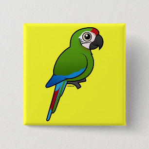 Militär Macaw Knapp