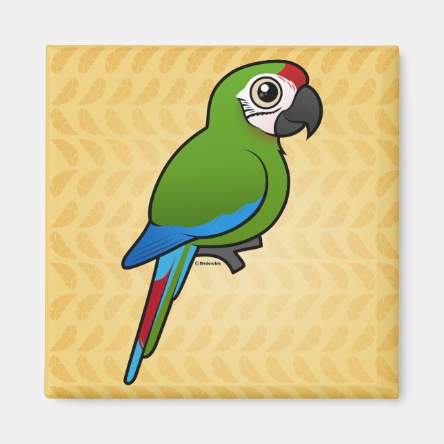 Militär Macaw Magnet (Framsidan)