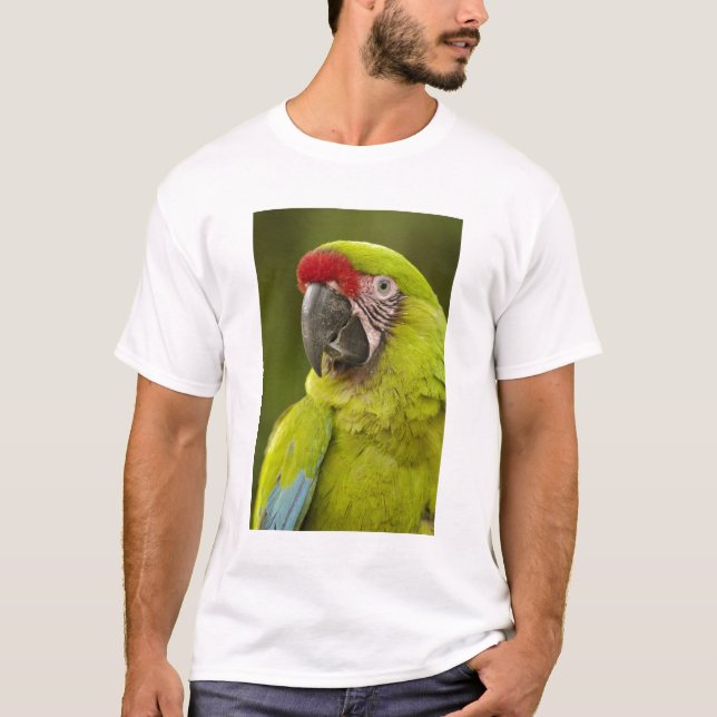 Militär Macaw T-shirt (Framsida)