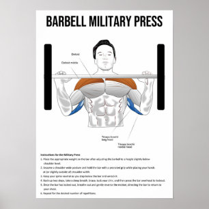 Militär press - Utövning - Muscle Anatomy Chart Poster