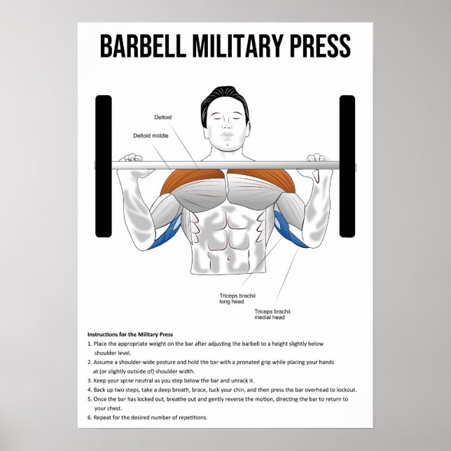 Militär press - Utövning - Muscle Anatomy Chart Poster (Framsidan)
