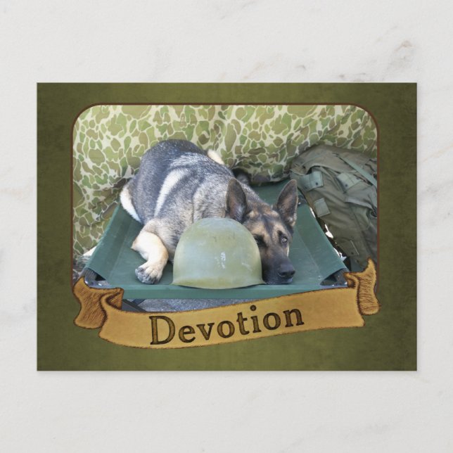 Militär tysk shepherd vykort (Framsida)