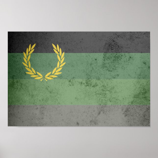 MILITÄR UNIFORM STOLTHET FLAGGA POSTER (Framsidan)