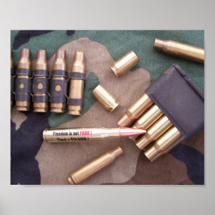 Militära arméns marinsoldater i luft poster