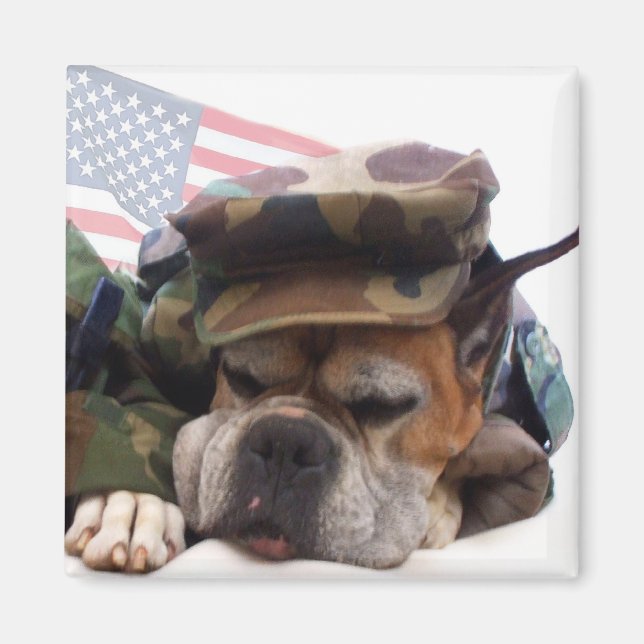 Militärboxermagnet Hund Magnet (Framsidan)