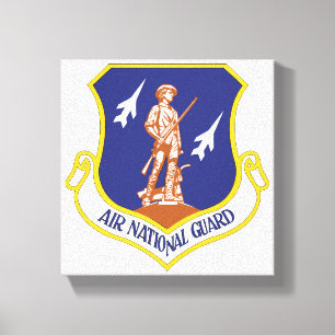 Militärveteran i luft canvastryck