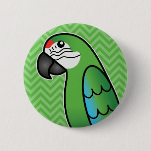 Military Cartoon Macaw Parrot Bird Knapp