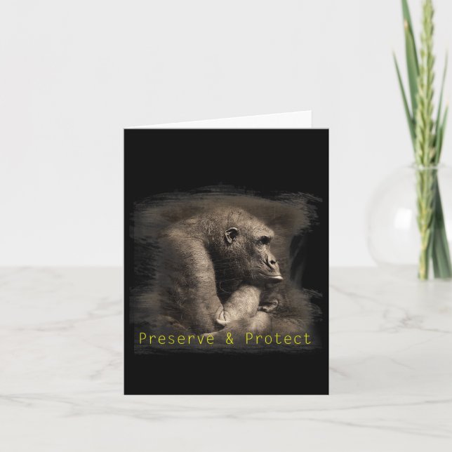 Miljöskydd i bergsområdet Gorilla Conserva Kort (Framsida)