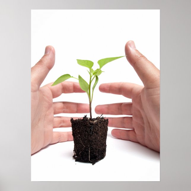 Miljöskydd Poster (Framsidan)