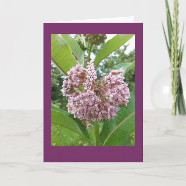 Milkweed Blank Note Card Kort (Framsida)