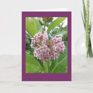 Milkweed Blank Note Card Kort