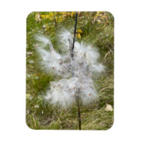 Milkweed | Butterfly | Flexibel