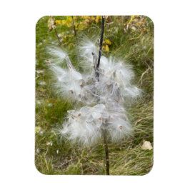Milkweed | Butterfly | Flexibel Magnet