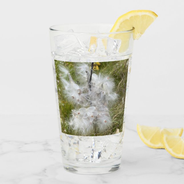 Milkweed | Butterfly | Glaskopp (Bakside Is)