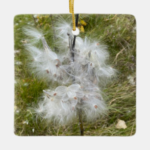 Milkweed   Butterfly   Julgransprydnad Keramik
