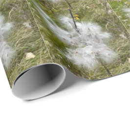 Milkweed | Butterfly | Presentpapper