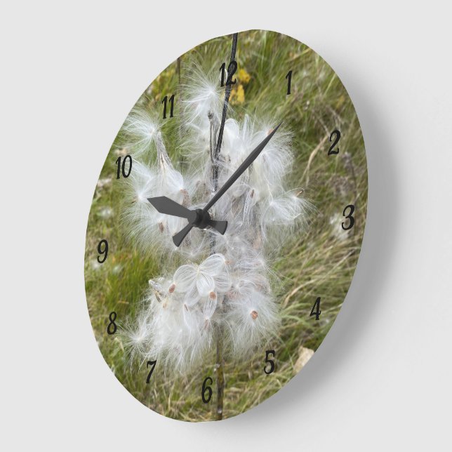 Milkweed | Butterfly | Stor Klocka (Vinkel)