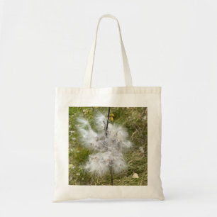 Milkweed   Butterfly   Tygkasse