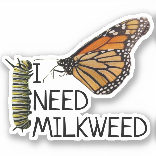 Milkweed for monarch Butterflies Klistermärken (Framsida)