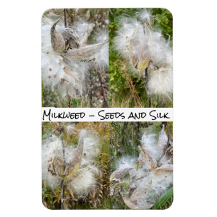Milkweed Naturlig flexibilitet Magnet
