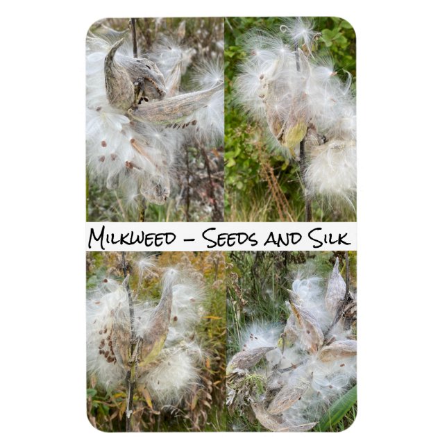 Milkweed | Naturlig flexibilitet Magnet (Vertikal)