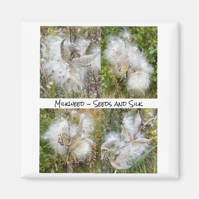 Milkweed | Naturlig Magnet (Framsidan)