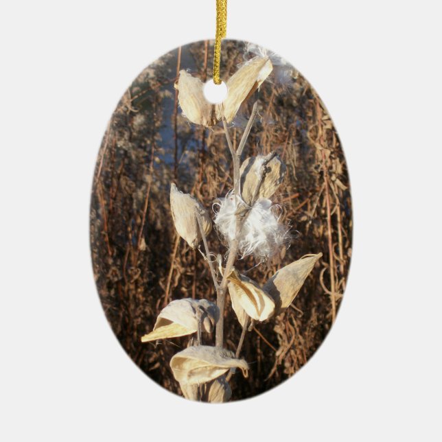 Milkweed Ornament (Framsidan)