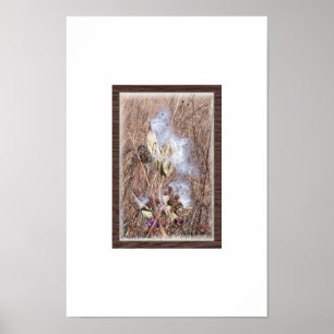 Milkweed Pod i Blow Poster