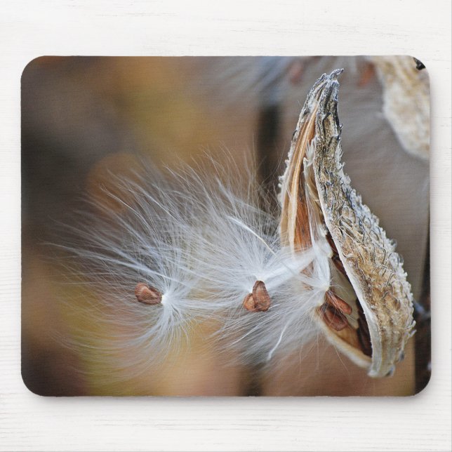 Milkweed Pod Macro Musmatta (Framsidan)