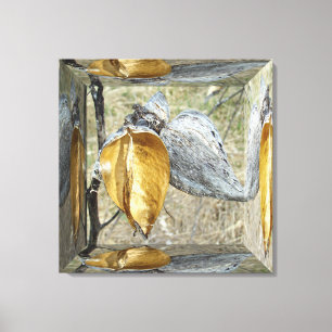 Milkweed Pod - Spegel Box Canvastryck