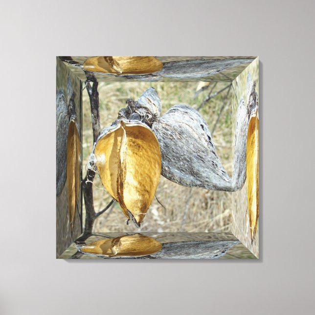 Milkweed Pod - Spegel Box Canvastryck (Framsida)