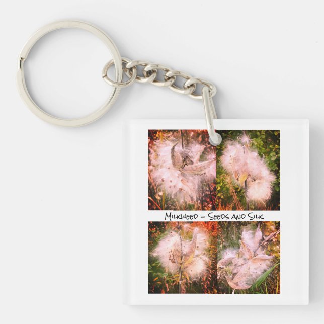 Milkweed | Sangria (Framsidan)
