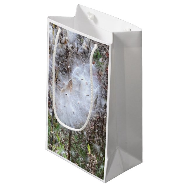 Milkweed Seeds och Silke (Framsidan Vinklad)
