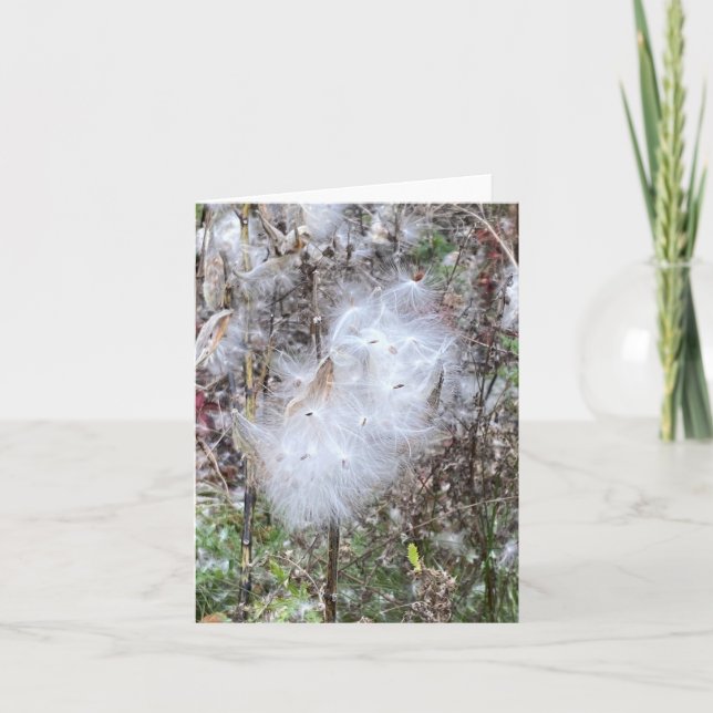 Milkweed Seeds och Silke Anteckningskort (Framsida)